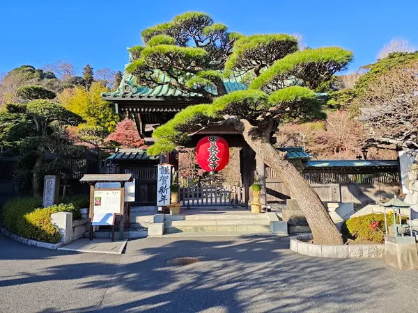 長谷寺（鎌倉） 2
