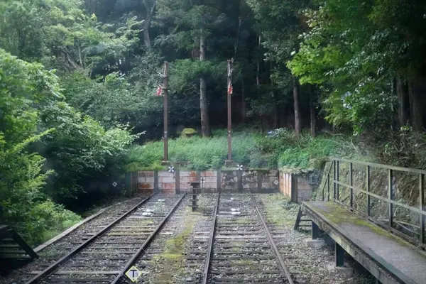 箱根登山鉄道 大平台駅（あじさい電車） 1