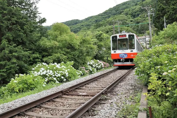 箱根登山鉄道 大平台駅（あじさい電車） 3