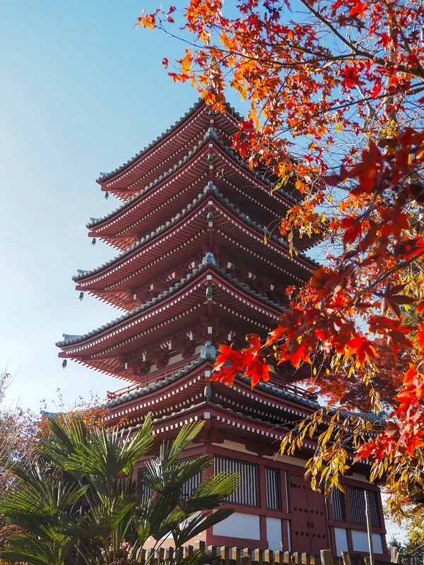 本土寺（松戸） 2