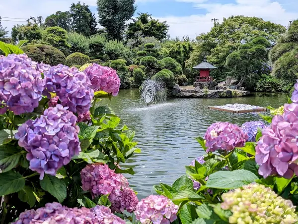 保和苑（水戸） 1