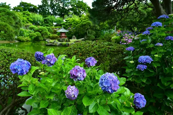 保和苑（水戸） 2